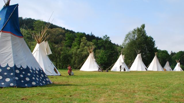 Tábor Ligy lesní moudrosti (ilustrační foto Tereza Peková)