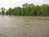 Povodeň Praha 2013: zatopený Střelecký ostrov, který kdysi hostil nejednu Bambiriádu (foto Michala K. Rocmanová)