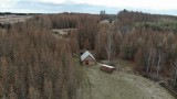 Tábořiště Valdíkov v roce 2019 - okolní lesy spořádané kůrovcem (foto archiv střediska Ignis)