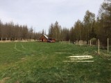 Tábořiště Valdíkov, kde skauti vysadili přes čtyři stovky stromků (foto archiv střediska Ignis, 2020)