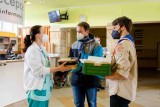 Skauti předávají napečené občerstvení v nemocnici v Jilemnici 