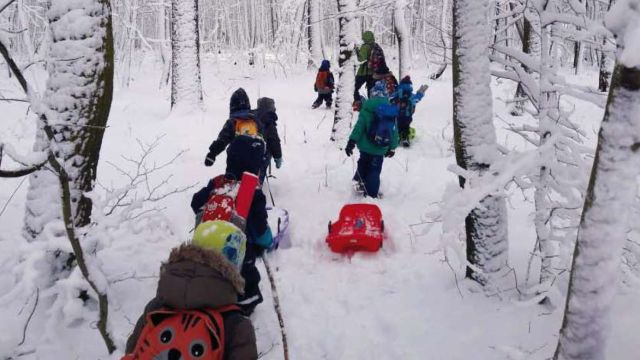 Snímek použitý na zadní obálce Archy číslo 1/2019 (foto Vrabčí hnízdo Ludgeřovice)