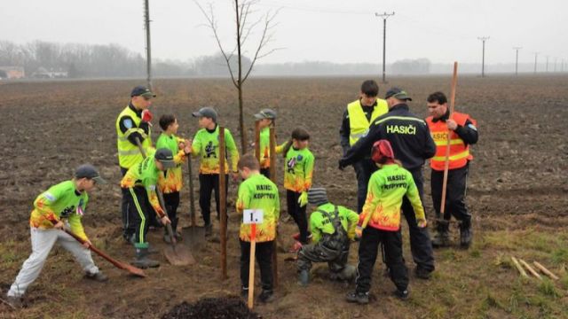 Mladí hasičůi a obyvatelé Kopytova s dobrovolníky z Arniky loni vysadili třicet jedna javorů a pamětní lípu (foto Vendula Šmoldasová, Arnika)