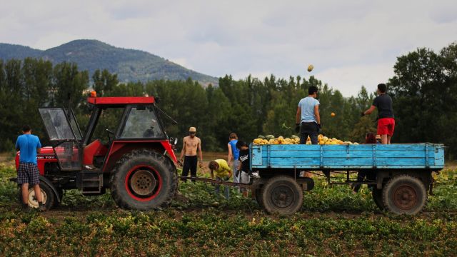 Workcampová sezona bude letos v Česku. Dobrovolnickou pomoc přivítá mnoho míst... (INEX-SDA)