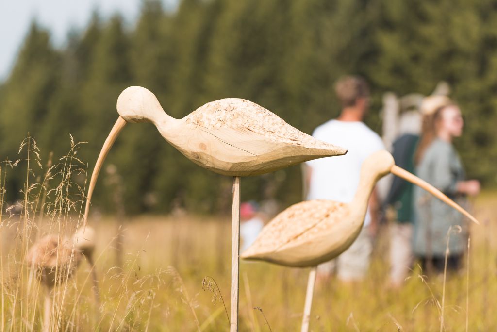 Landartové umění běžně v galeriích nenajdete. Své přirozené místo nachází v divoké krajině (foto Petr Mikšíček)