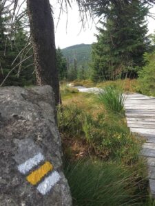 Jizerské hory (foto 1873791, Pixabay)