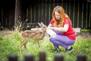 Srnče, Pavlov (foto ČSOP)